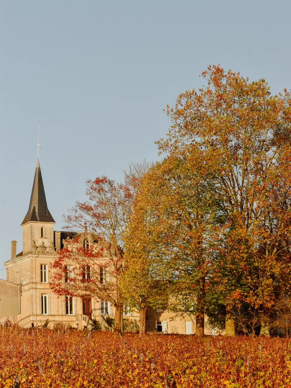 Le château et ses vignes en automne